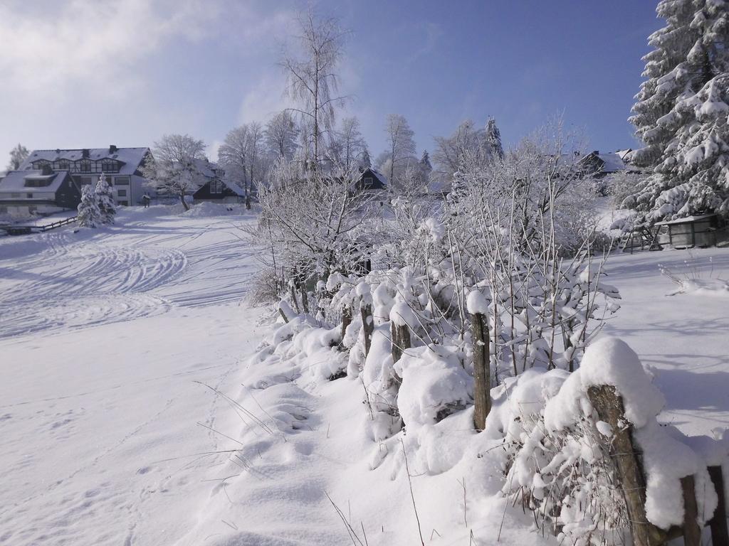 Apartment In Langewiese Sauerland With Garden Винтерберг Екстериор снимка