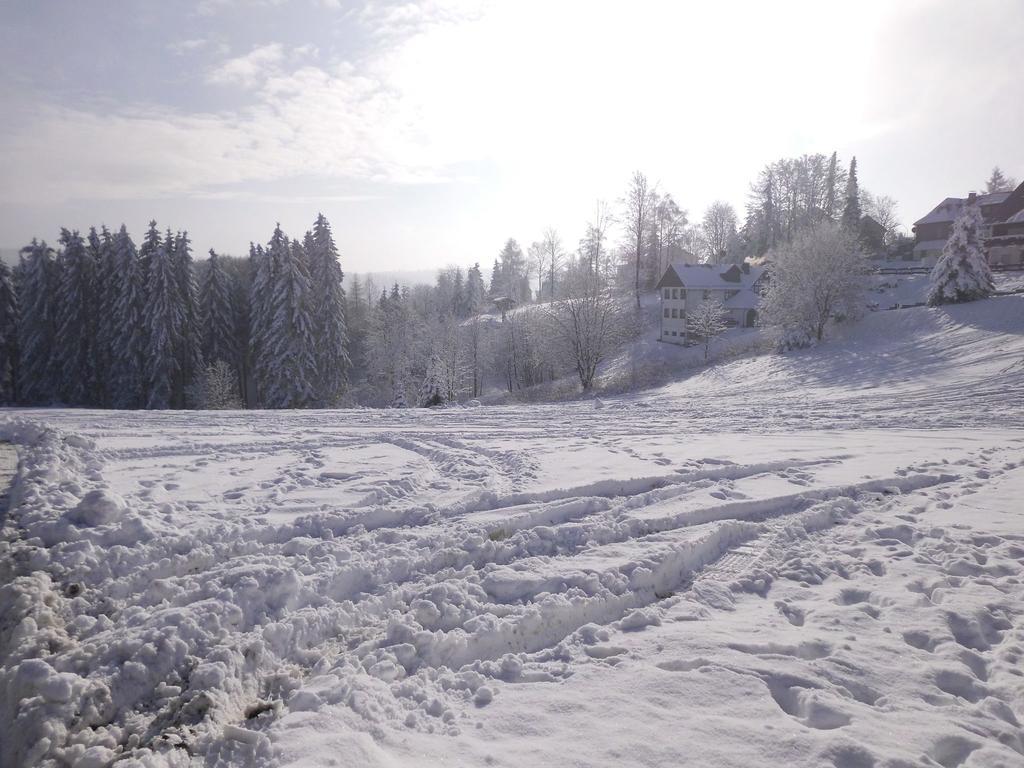 Apartment In Langewiese Sauerland With Garden Винтерберг Екстериор снимка